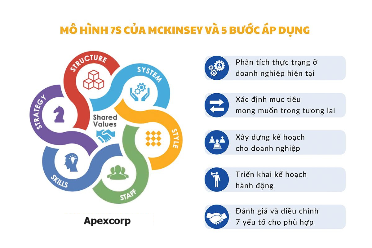 5 bước áp dụng mô hình 7S Mckinsey